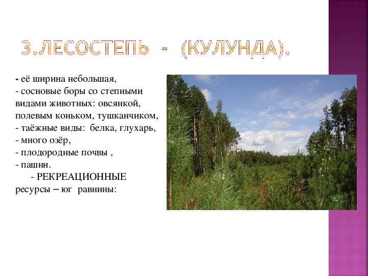 Тест западно сибирская равнина 8 класс география. Западно Сибирская равнина лесостепь. Растения Западно сибирской равнины. Лесостепь Западно сибирской равнины растения. Природная зона в лесостепи Западно-сибирской равнины.