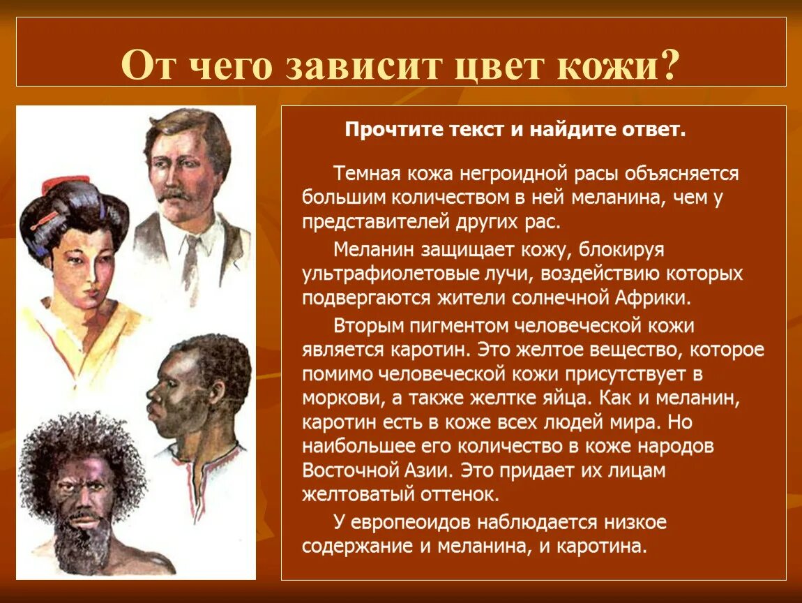 Цвет кожи зависит от. От чего зависит цвет кожи. От чего зависит окраска кожи. От чего зависит цвет.