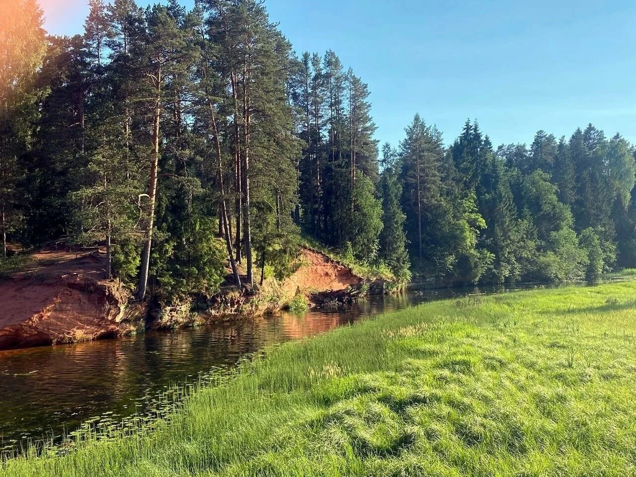 Погода в сиверской на неделю в ленинградской. Река Оредеж Сиверский. Вырица река Оредеж. Сиверская Ленинградская река Оредеж. Река Оредеж Гатчинский район.