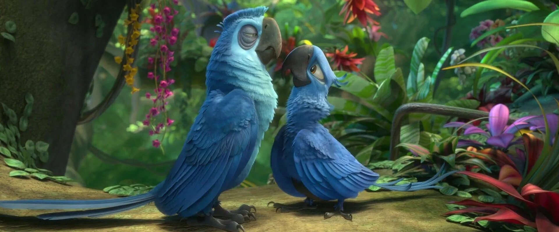 Rio vk. Rio 2. Rio 2 (2014). Рио 2 отец. Рио 2 папа Жемчужинки.