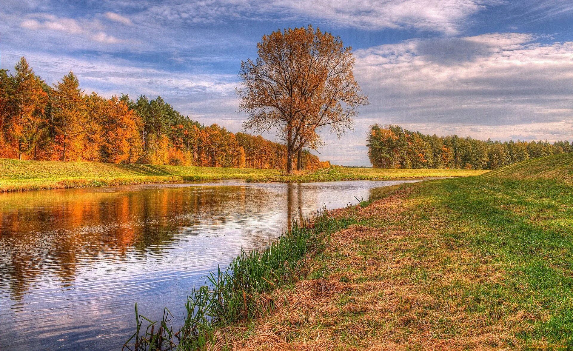 пейзажи александра болотова. картина осень. осенний пейзаж с речкой. река ухра осень. поназырево осень река.