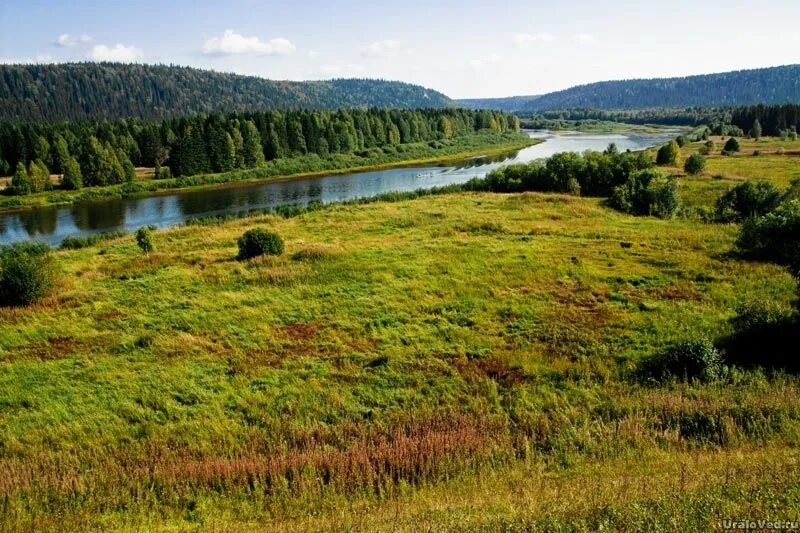 Посёлок Яйва Пермский край. Яйва (река) реки Пермского края. Поселок Яйва Александровский район Пермский край. Поселок сухая Пермский край Александровский район. Поселок яйва пермский край