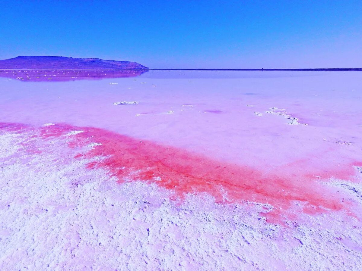 Кояшское розовое озеро в Крыму. Сасык-Сиваш. Мыс Опук розовое озеро. Розовое озеро Керчь. Розовый водоем в крыму