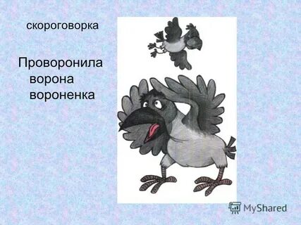 Проворонила ворона воронят