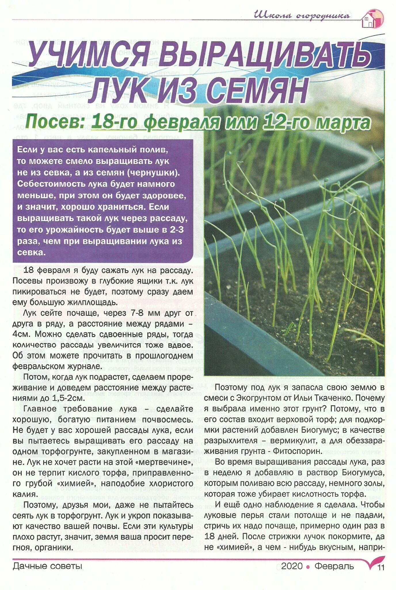 дачные советы семена алтая. дачные советы с галиной старосельцевой последний выпуск. дачный. дачные советы. дачные советы со старосельцевой последний выпуск.