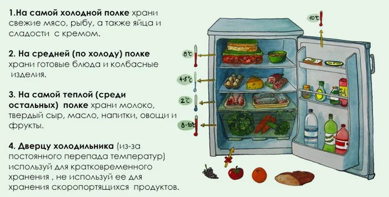 Сколько времени можно хранить разведенную. Схема хранения продуктов в холодильнике. Товарное соседство в холодильнике. Правила хранения продуктов в холодильнике. Правило хранение продуктов в холодильнике.