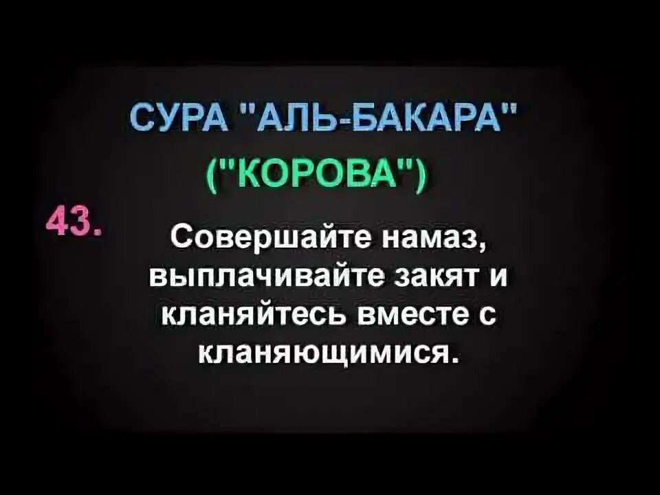 Сура бакара 102. Сура Аль-Бакара Сура корова. Ты Сура Аль Бакара. Сура 43 43 аят. 1-5 Суры Аль Бакара корова.