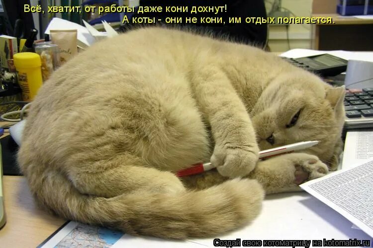 Можно ли идти на работу