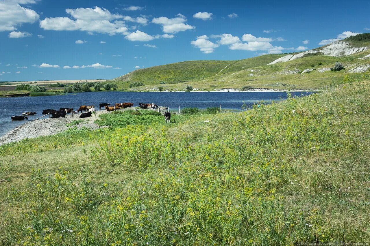Подвальские террасы тольятти. Село подвалье самарская область. Село подвалье самарская область. Подвалье шигонский район самарской. Погода подвалье самарская обл.