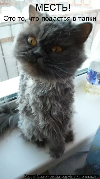 Не тот твой друг кто за столом. Подаст что это. Не тот твой друг кто за столом с тобою пьет. Высказывания о помощи. Друзья не те кто за столом с тобою пьет.