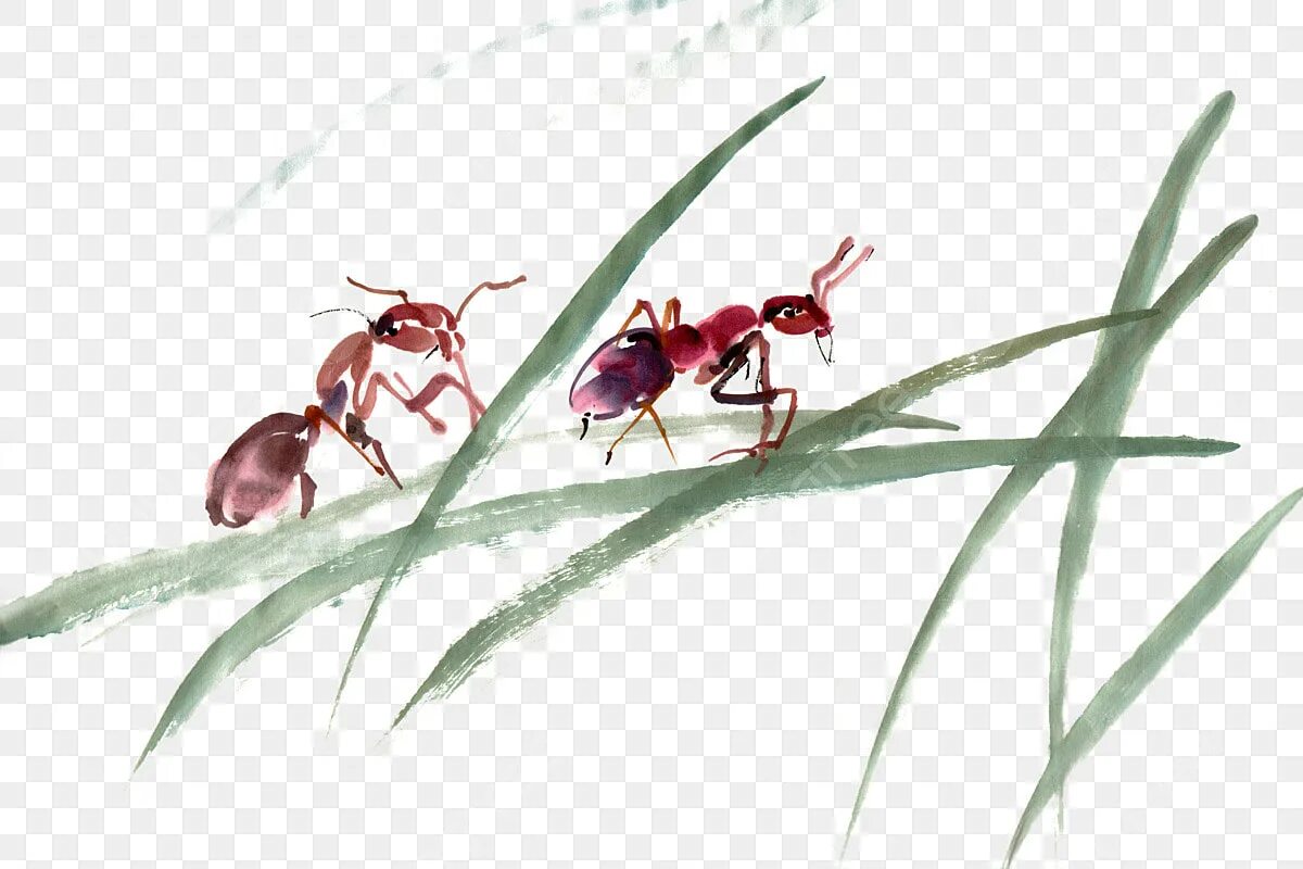 Ant ink