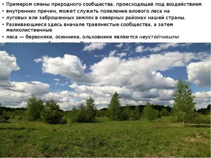 Почему меняется природная зона