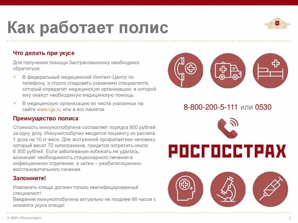 Страховка от клеща в новосибирске. Страхование от клеща росгосстрах. Страховка от укуса клеща росгосстрах. РГС защита от клеща росгосстрах. Антиклещ страховка.