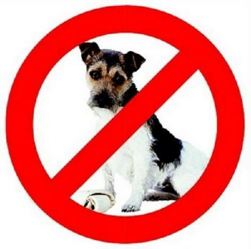 Вход с собаками запрещен. Животные запрещены. Вход с собаками в магазин запрещен табличка. Вход с санками запрещен.