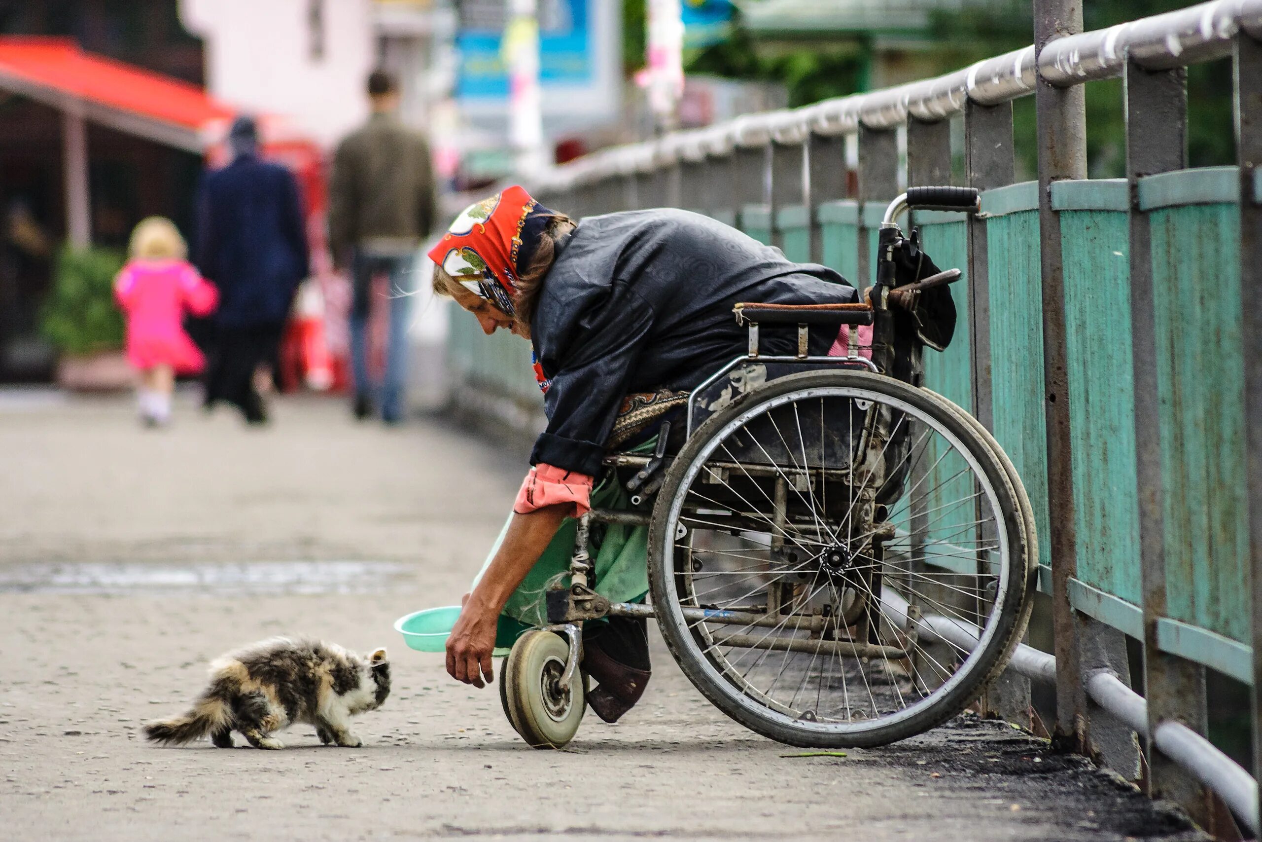 Kindness to animals. Добрые поступки. Доброта картинки. О доброте. Доброта к людям.