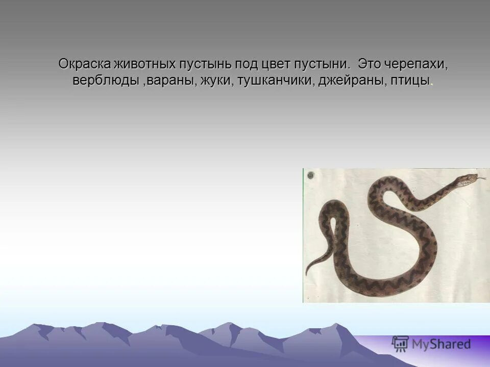 Численность тушканчиков и варанов как изменится. Численность тушканчиков и варанов как изменится