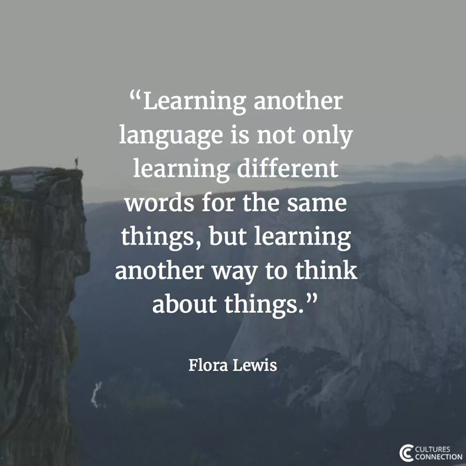 Цитаты людей на английском. Цитаты на англ. Цитаты про изучение иностранных языков. Цитаты про иностранные языки. Цитаты про иностранные языки.