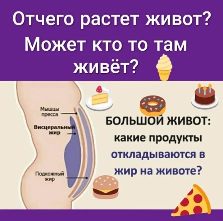 Почему быстро растет живот. От каких продуктов растет живот. продукты от которых увеличивается живот. от каких продуктов растет живот у женщин.
