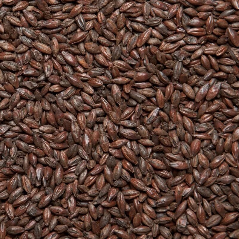 Что такое солод. Солод viking malt 25 кг. солод ячменный темный. солод караред (carared). солод карамельный и караред.