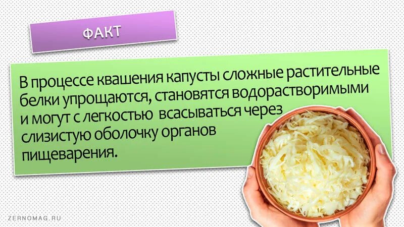 Квашеная капуста дни сколько. Польза квашеной капусты для организма. Полезна ли квашеная капуста. Чем полезна квашеная капуста для организма. Квашеная капуста польза и вред.