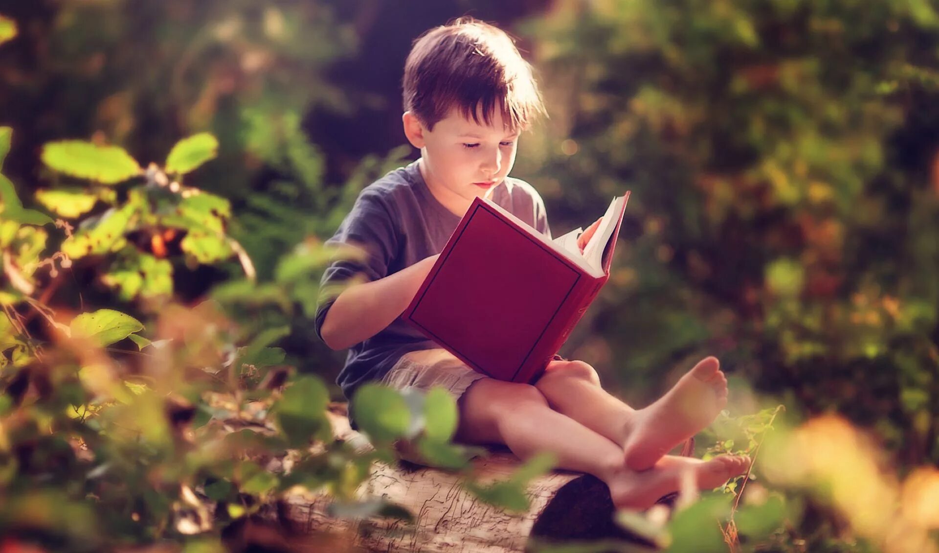 Солнечный ребенок книга. Мальчик с книжкой. книжки для детей. книга для мальчиков. книги для детей.