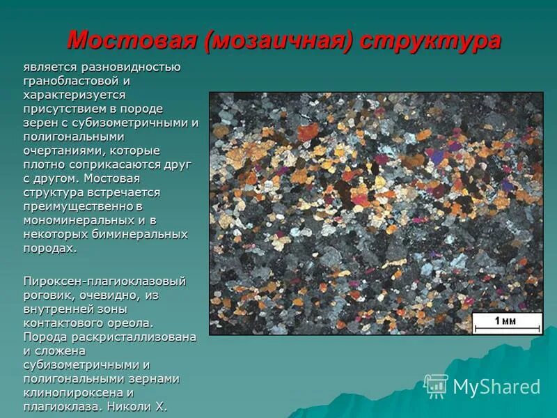 Мозаичное строение. Мозаичное строение
