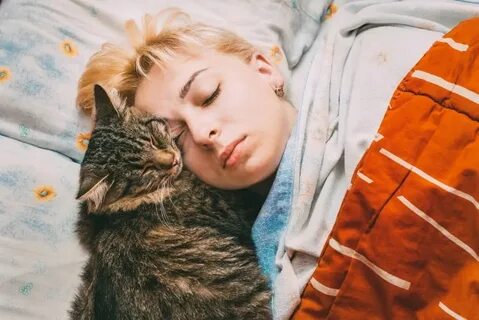 Почему кошка любит спать на человеке
