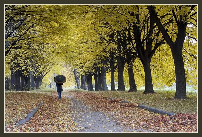 Пошла в аллею. Двое в осенней аллее. Осень в парке. Прогулка по аллее. Осенняя грусть.