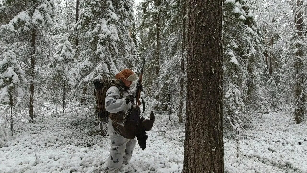 Робинзоны тайги Таежные отшельники. Таёжные отшельники Сибири видео. Робинзоны тайги Таежные отшельники видео. Тайга таежная жизнь