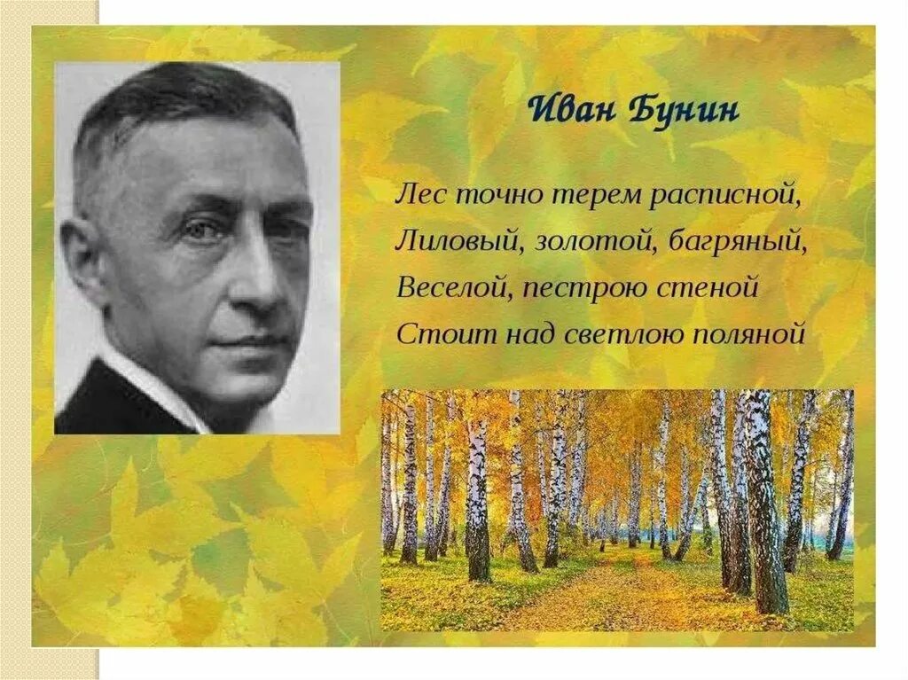 Поэзия о лесе. Бунин лес точно Терем расписной. Лес в поэзии русских писателей.