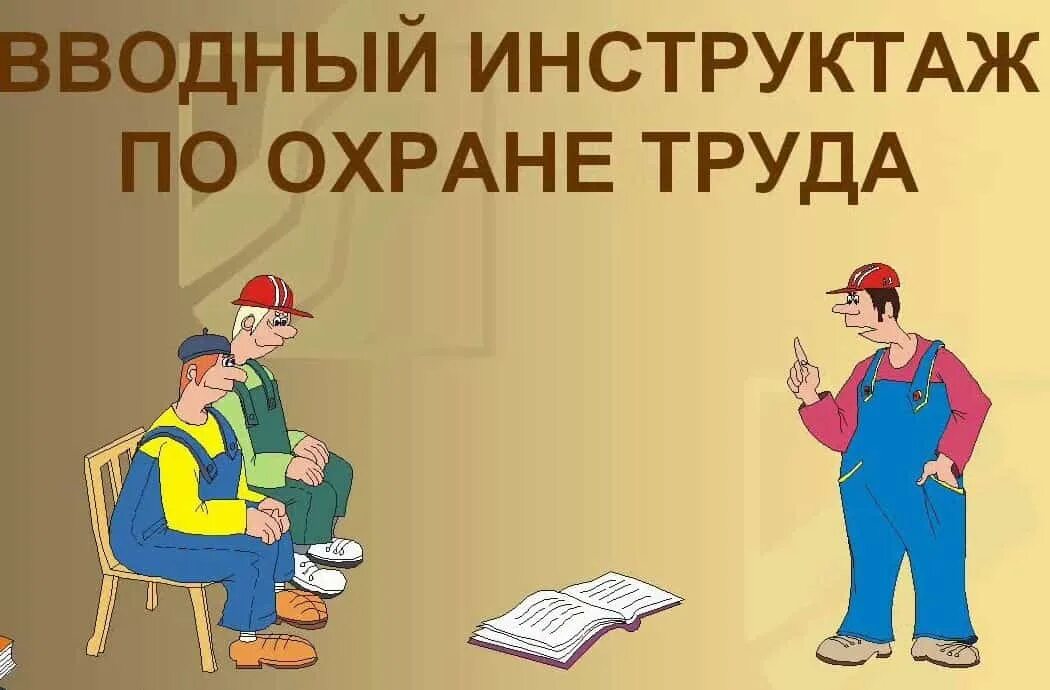 Со всеми вновь принимаемыми на работу проводят. Вводный инструктаж. Инструктажи по охране труда. Вводный инструктаж по безопасности труда. Инструктаж по охране труда и технике безопасности.