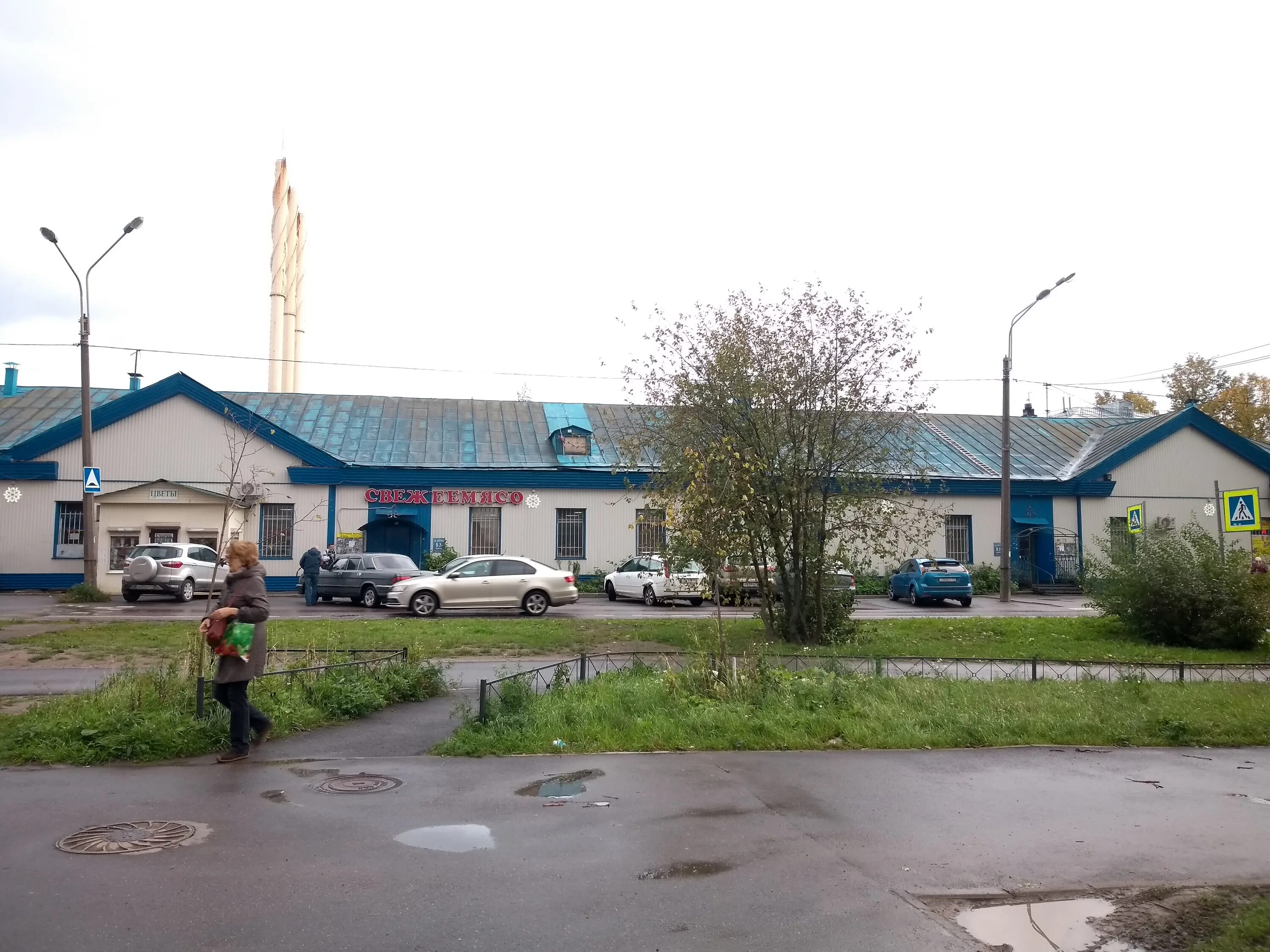 ресторан берёзки на чкаловской. галерея березка. ул. березка спб. Birch, санкт-петербург.