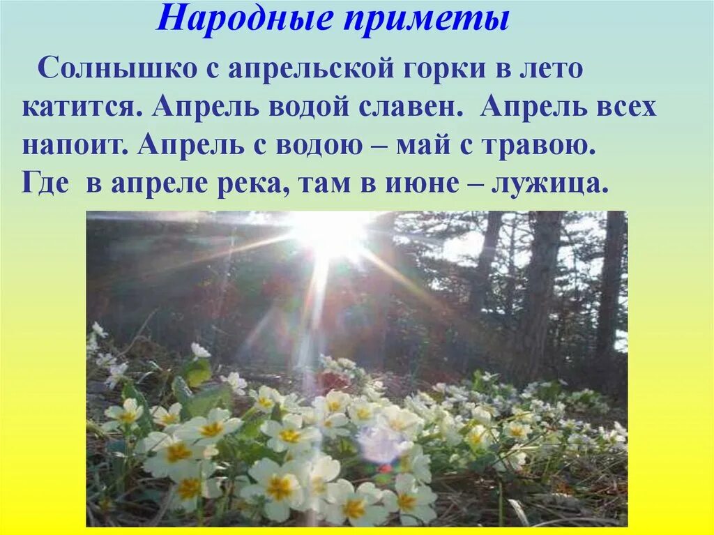 Первые приметы. Народные приметы. природные приметы. народные приметы о природе. приметы о природе для детей.