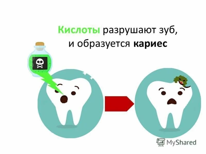 Обугливание сахара концентрированной серной кислотой. Разрушающие кислоты. Влияние фосфорной кислоты на эмаль. Воздействие на древесину серной кислоты. Едкая кислота.