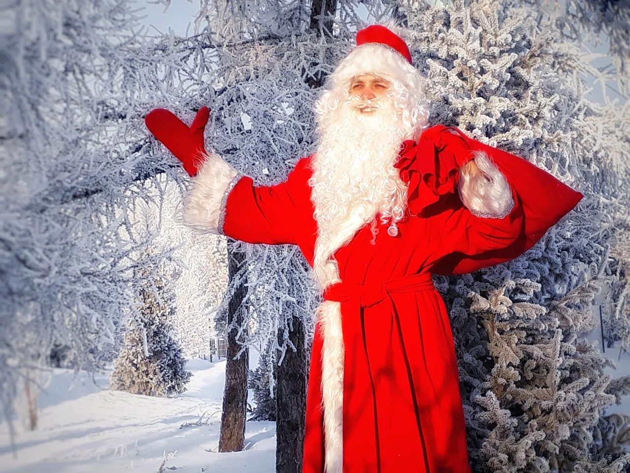 Красивые дед мороз. Дед Мороз. Настоящий дед Мороз. Услуги Деда Мороза. Дед Мороз фотосток.
