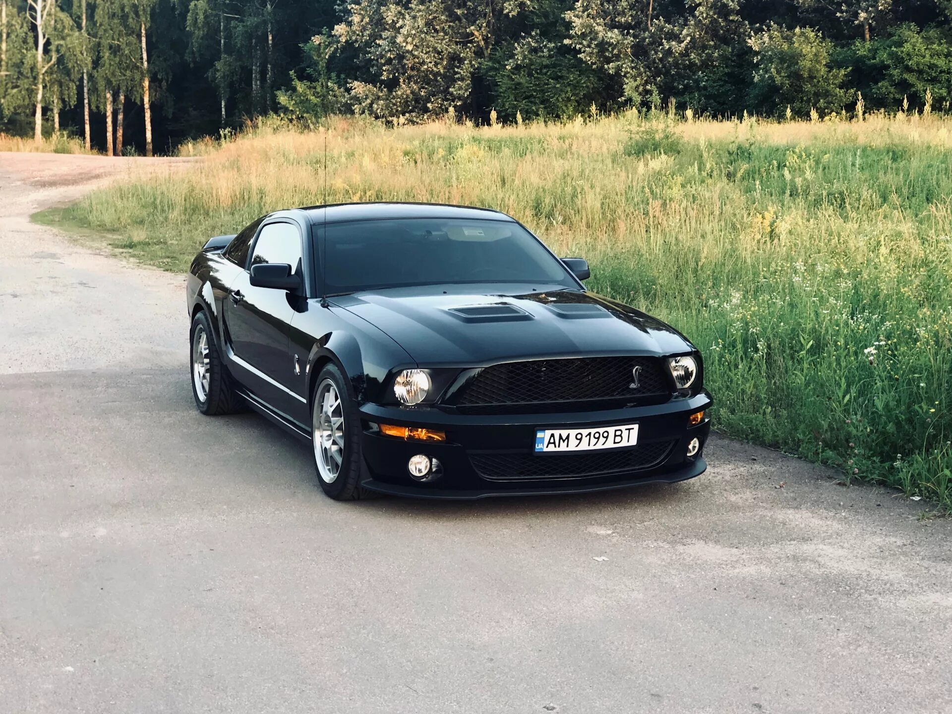 Форд Мустанг 5.5. Форд Мустанг. Мустанг 2008 года. Форд Мустанг 5 черный. Ford Mustang 5 поколение черный.