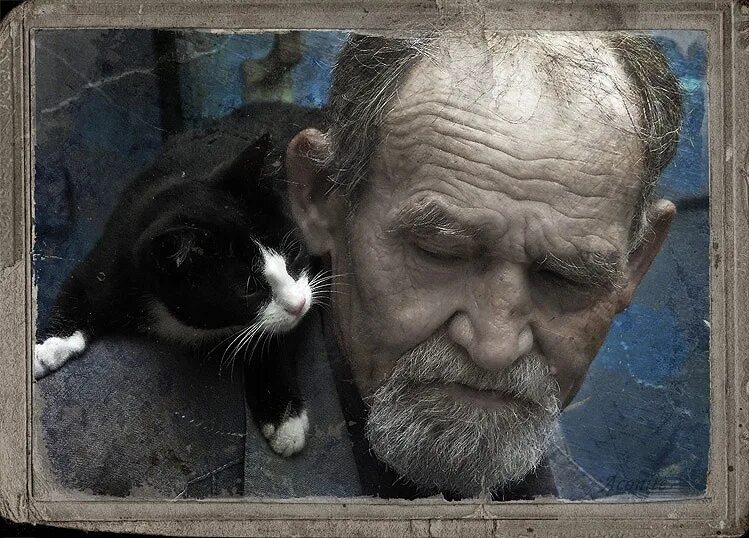 Старик и кот. Дедушка с котенком. котики и старики. старик с котенком.