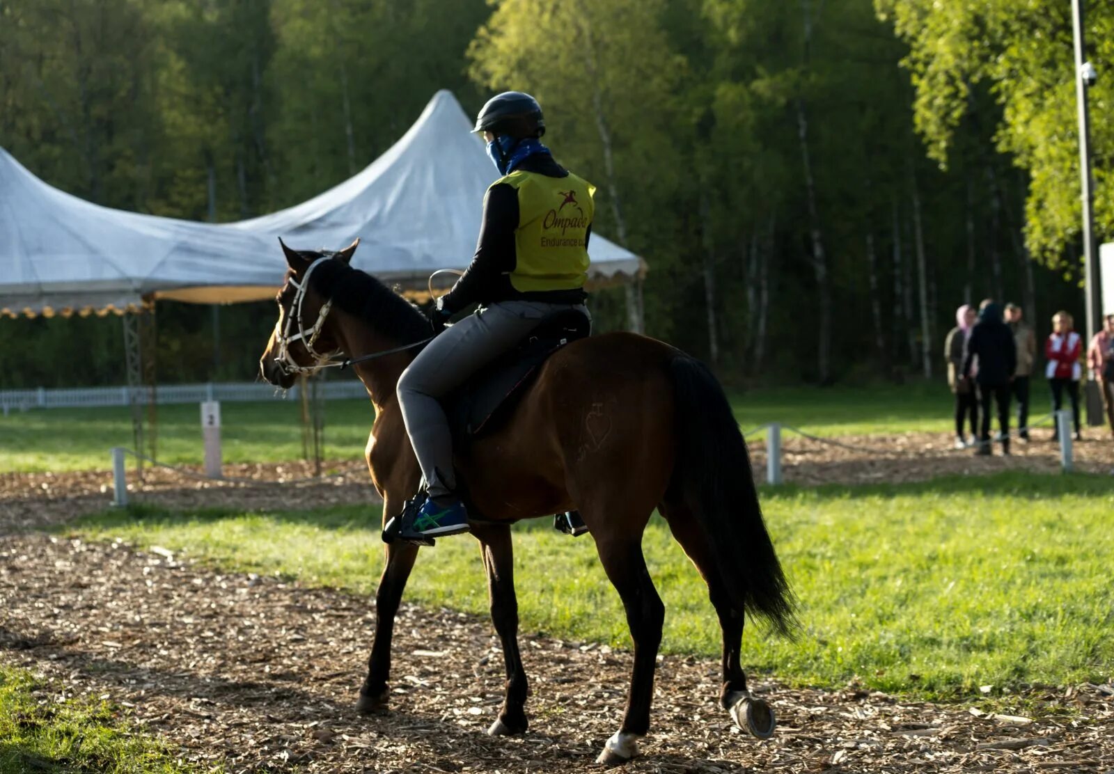 левкович надежда. сергей малюгин конный спорт. в отраде ждали. в отраде ждали. ирина цибульская кск отрада.