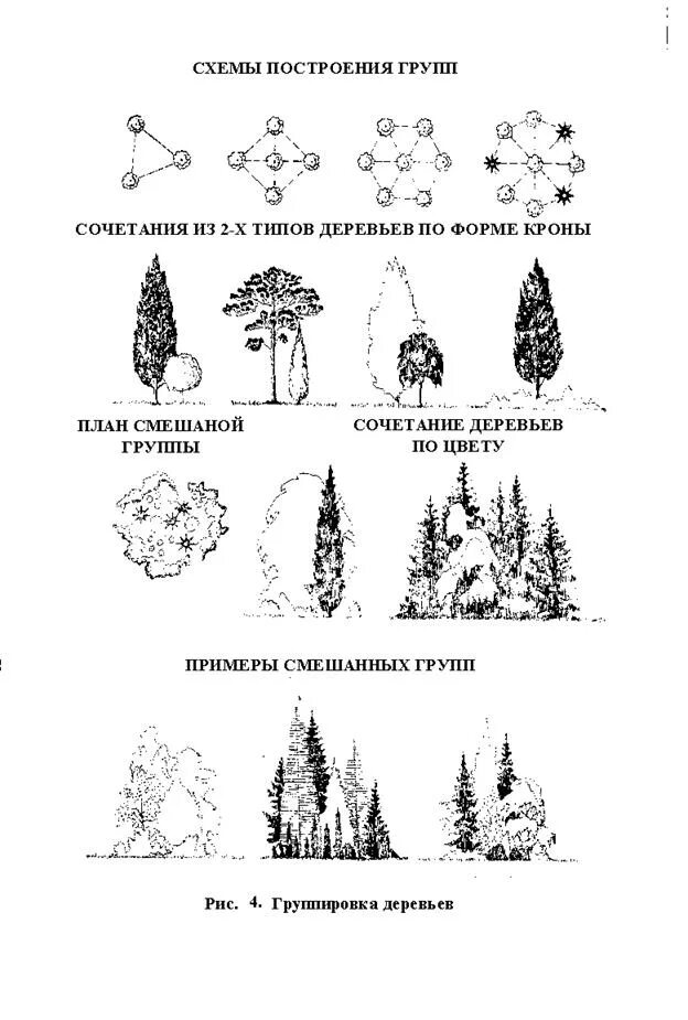 Группа деревьев схема. Формы кроны древесных и кустарниковых растений. формы крон деревьев и кустарников с примерами. ландшафтные группы из деревьев схемы.