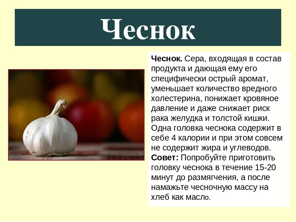 Чеснок. Информация о чесноке. Чеснок описание растения. Чеснок полезные вещества.