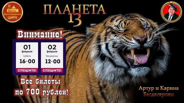 Стрелец екатеринбург оружейный магазин. Цирк афиша на март 2024. Афиша цирка на цветном бульваре. Цирк афиша на март 2024. Цирк афиша на март 2024.