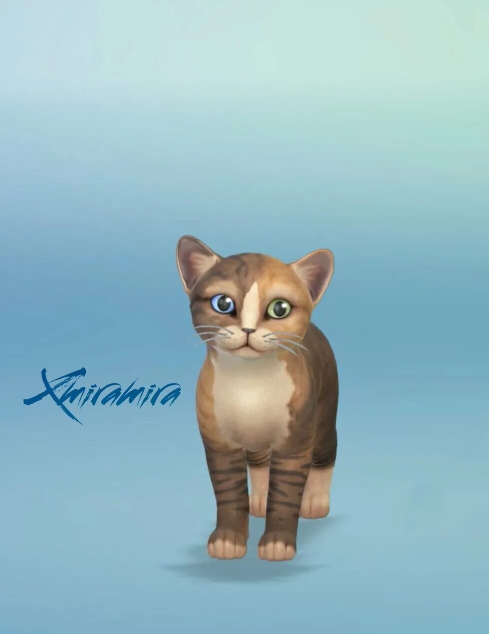 Котята в симс 4. Sims 2 кошка. Симс кота. Кошки и собаки. Сиамская кошка симс 4.