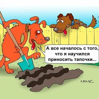 Все началось с того что я