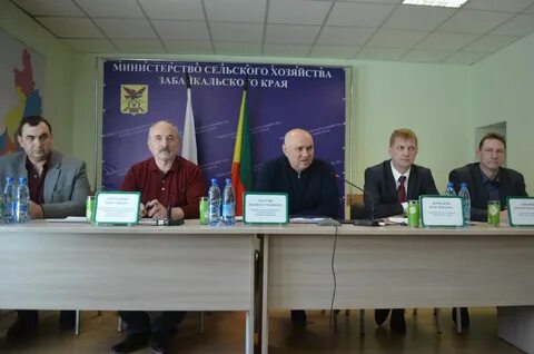 Новости мсх
