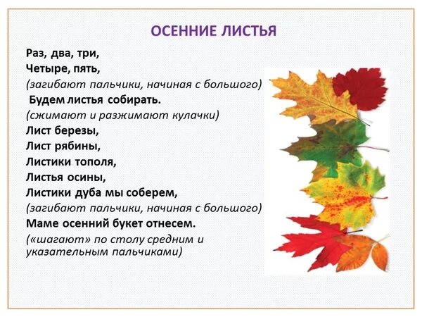 Основная мысль текста лист листочек. Пальчиковая гимнастика осень. Пальчиковая гимнастика осенние листья. Пальчиковая гимнастика листики. Пальчиковая гимнастика листочки.