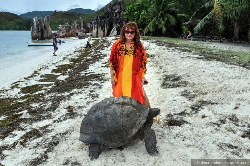 сколько сейчас времени на сейшелах. сейшельские острова время. виктория сейшелы магазины. оля рапунцель сейшелы. участники острова сейшелы.