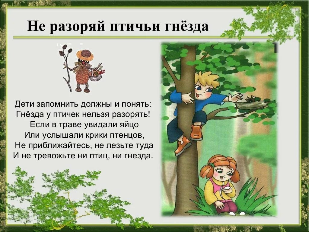 Не разоряй птичьи гнезда. Правило поведения на природе. Правила поведения в лесу. Правильное поведение в лесу. Стих не разрушай