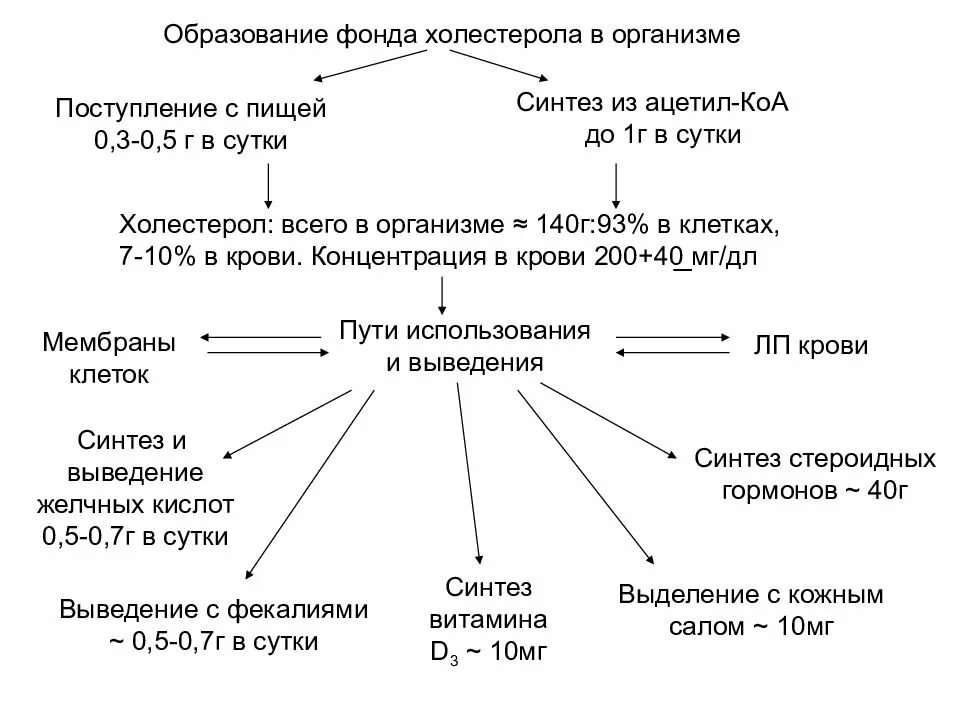 Пути использования холестерина в различных тканях. Схема путей метаболизма ацетил коа. основные пути образования ацетил коа. основные пути образования холестерола в организме.