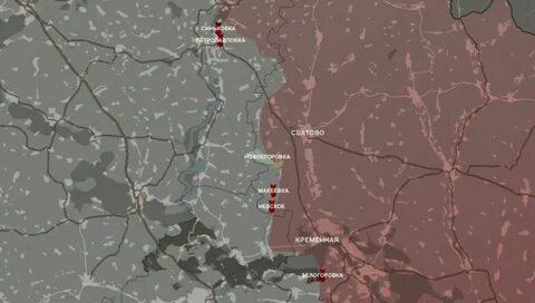 Бои за синьковку 2023