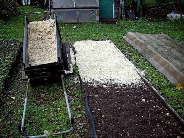 Можно ли добавлять опилки в землю. Мульча древесная гидропосев. мульча целлюлозная для гидропосева. опилки на грядки. мульчирование грядок опилками.
